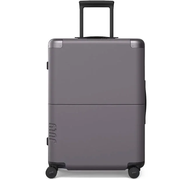 Checked Luggage