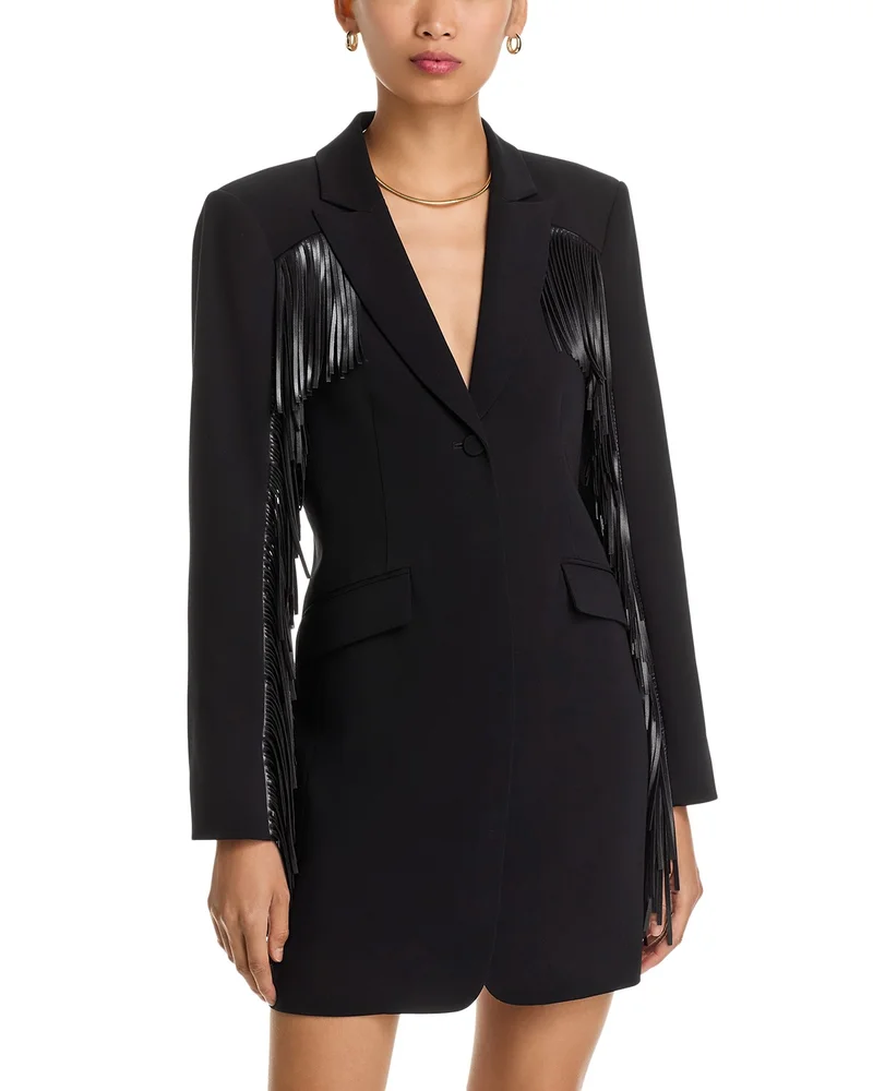 Joelette Fringe Trim Dress