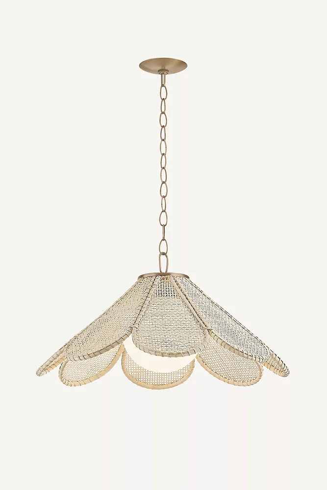 Petal Woven Rattan Pendant by Hudson Valley Lighting