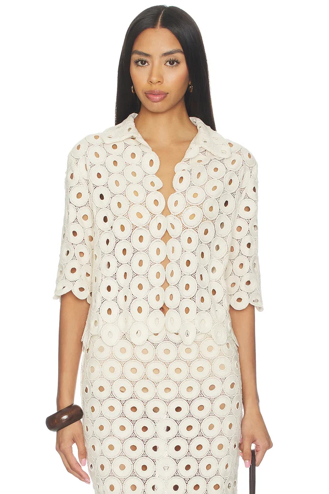 Braydon Top