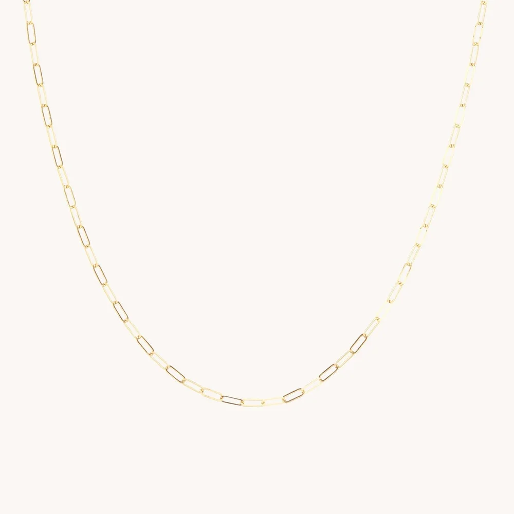 1976 Gold Chain