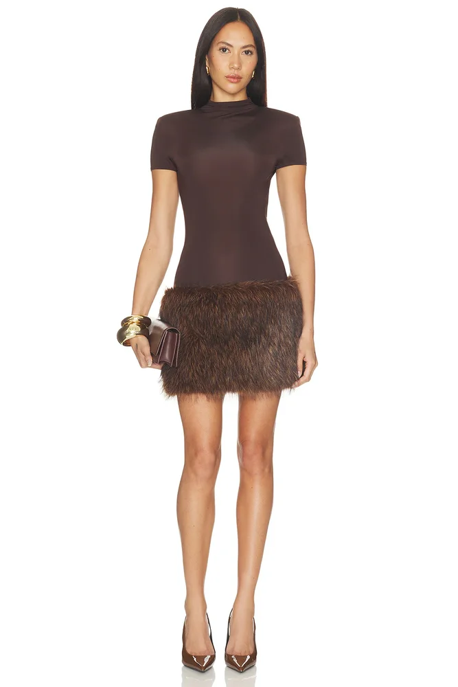 Short Sleeve Mini Dress With Faux Fur Trim