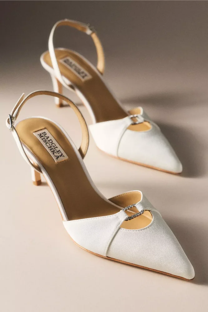 Roger Slingback Pointed-Toe Pumps
