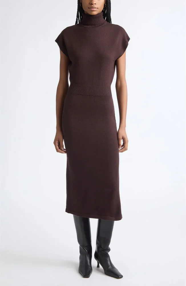 Natalie Turtleneck Wool Sweater Dress