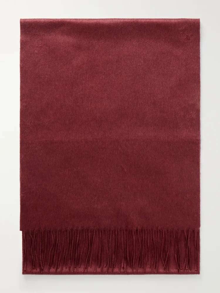 Blaine fringed silk and cashmere-blend scarf