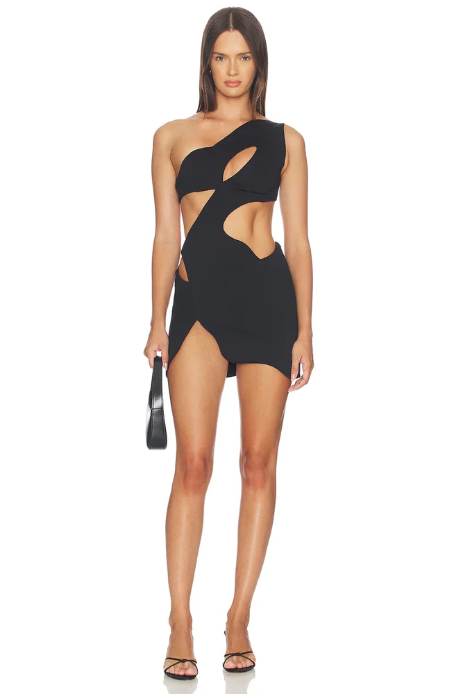 Swan Dress