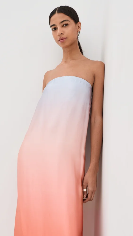 Arden Strapless Silk Ombre Maxi Dress