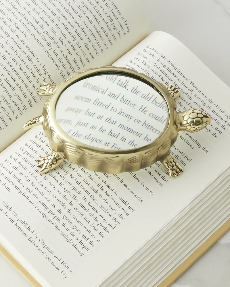 Turtle Magnifying Glass