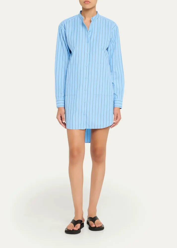 The Anika Striped Shirtdress