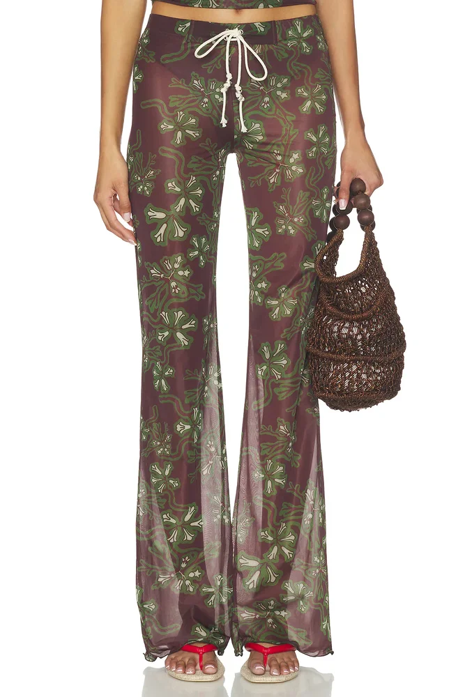 Dania Pant