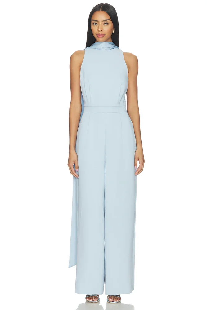 Anaya Wide Leg Jumpsuit