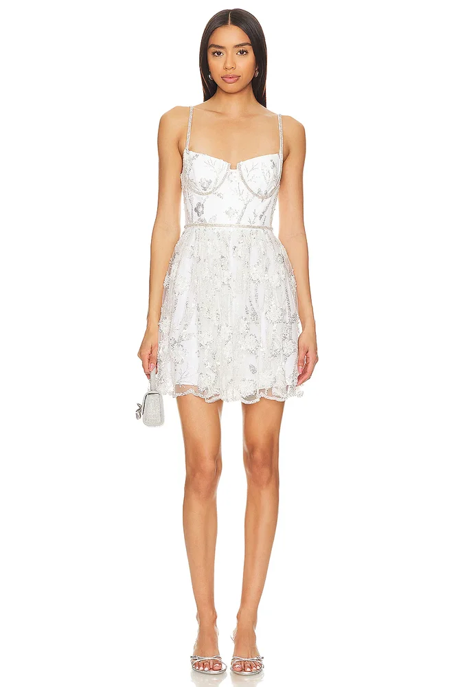 Sequin Lace Mini Dress