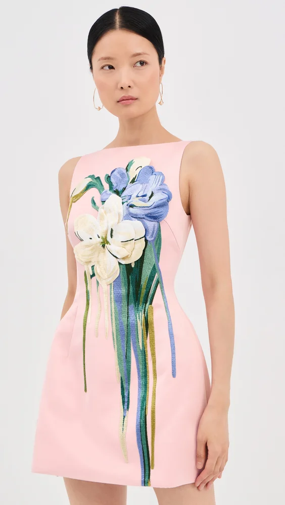 Ali Embroidered Mini Dress