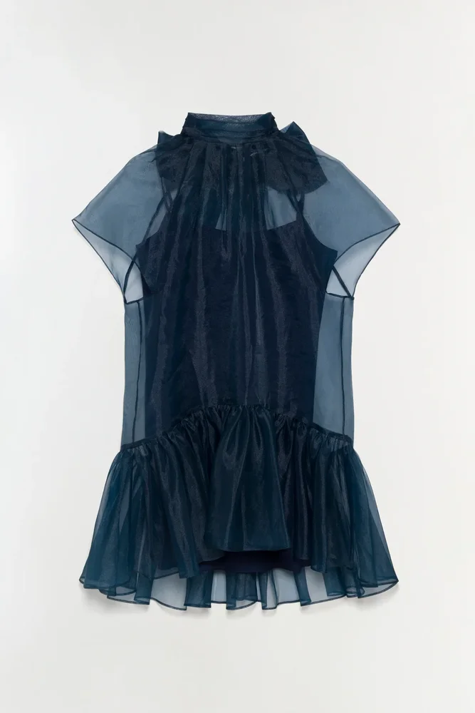 Beaux Organza Dress