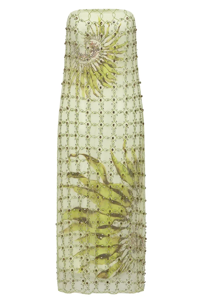 Antipodeanlabel FREEFALL STRUCTURED TUBE DRESS