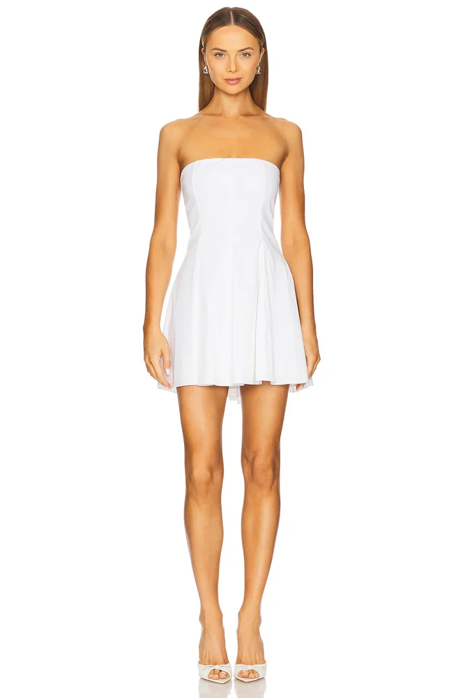 x REVOLVE Sable Mini Dress