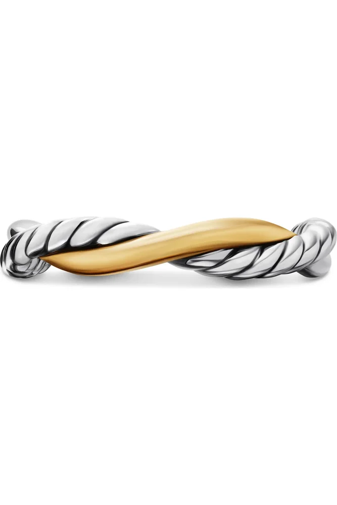 Petite Infinity Band Ring in Sterling Silver with 14K Yellow Gold
