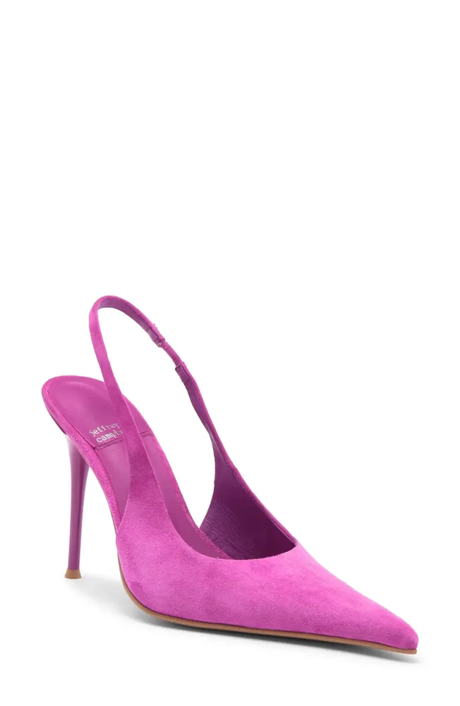 You Wish Slingback Pointed Toe Pump