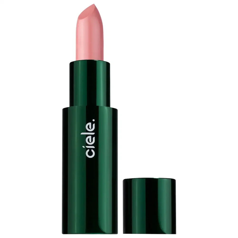 lip & PROTECT Pigment-Rich Hydrating Lipstick with SPF 60+ in Casette