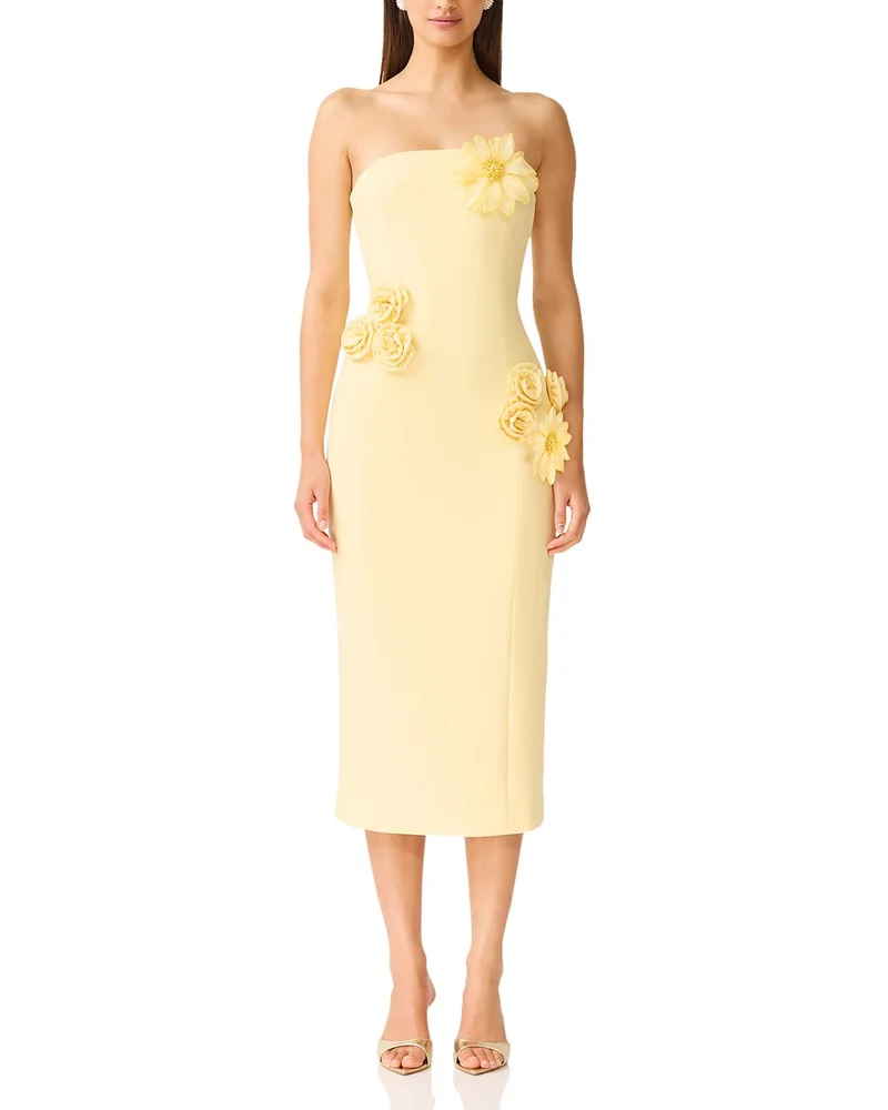 Ilana Floral Appliqué Midi Dress