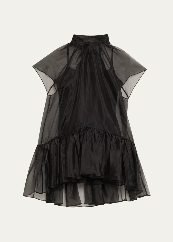 Beaux Organza Mini Dress
