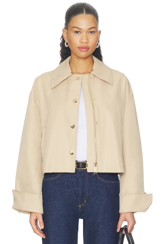 The Rue Cropped Trench
