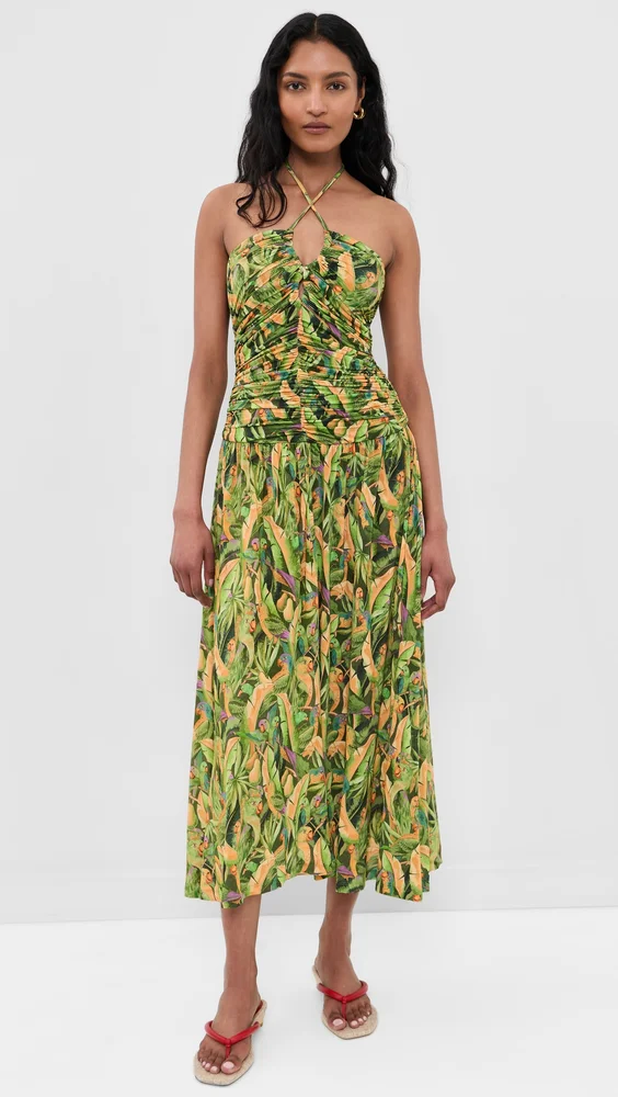 Forrest Green Parrot Sleeveless Maxi Dress