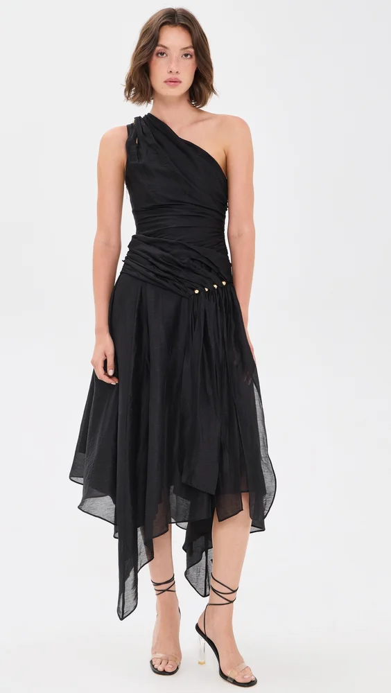 Capture Maxi Dress