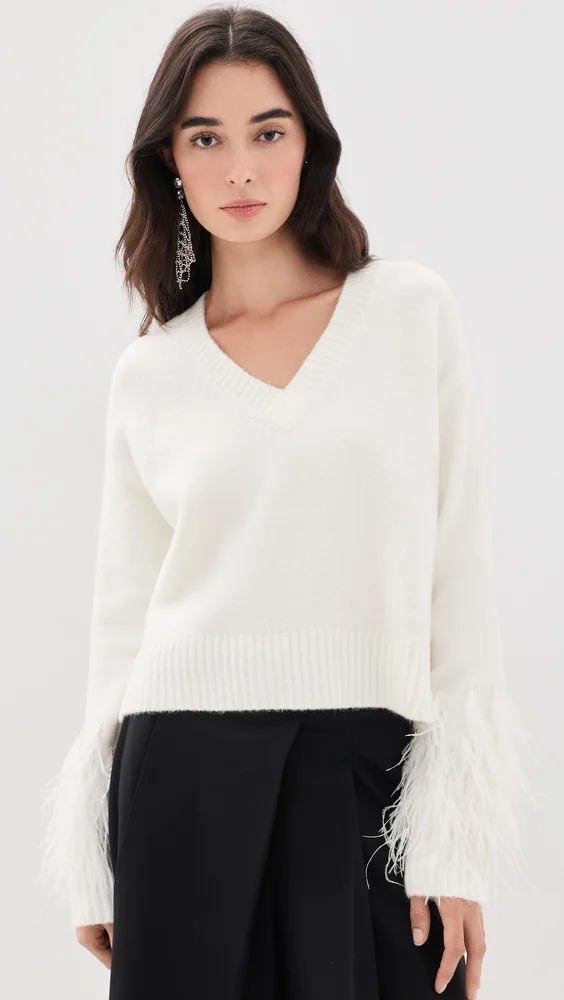 Brianne Feather V Neck Pullover