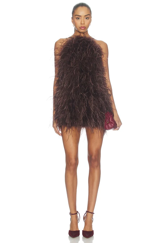 Mini Feather Dress