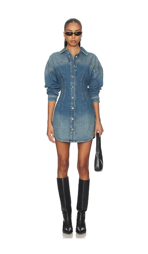 Shaped Denim Dress