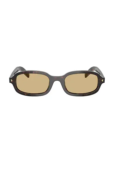 Oval Sunglasses