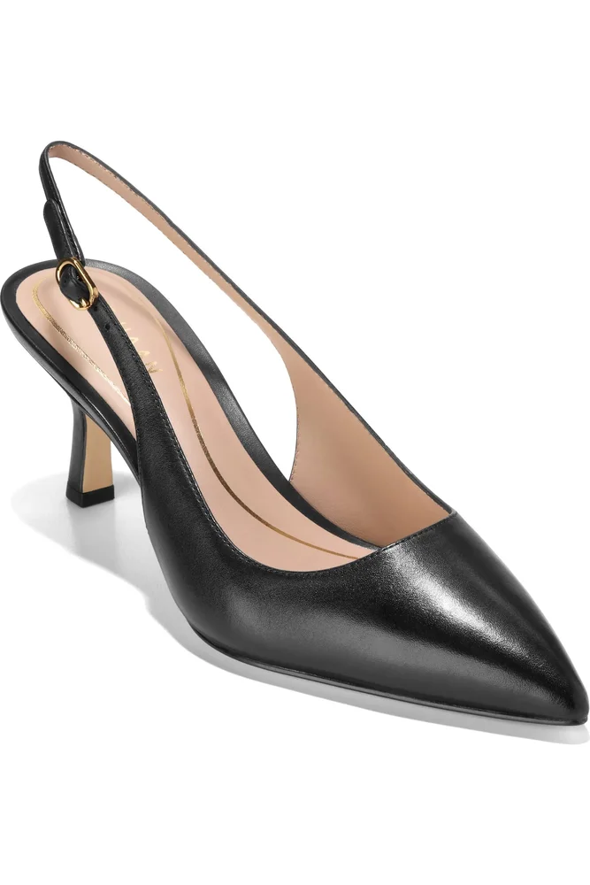 Hansell Slingback Pointed Toe Pump