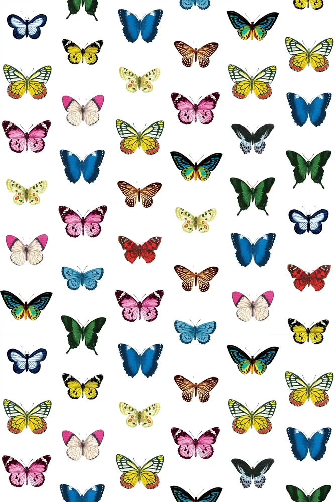 Mariposa Traditional Wallpaper