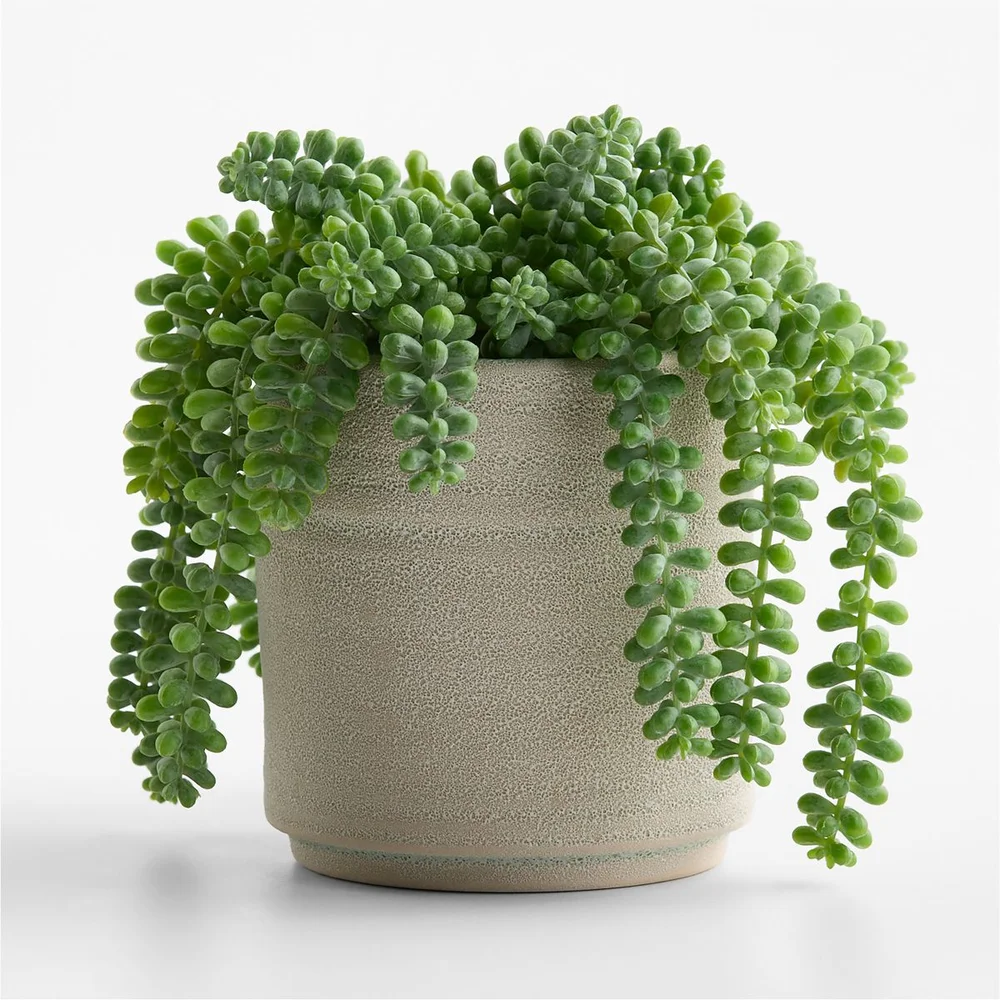 Potted Faux Burros Tail Succulent 7-in.