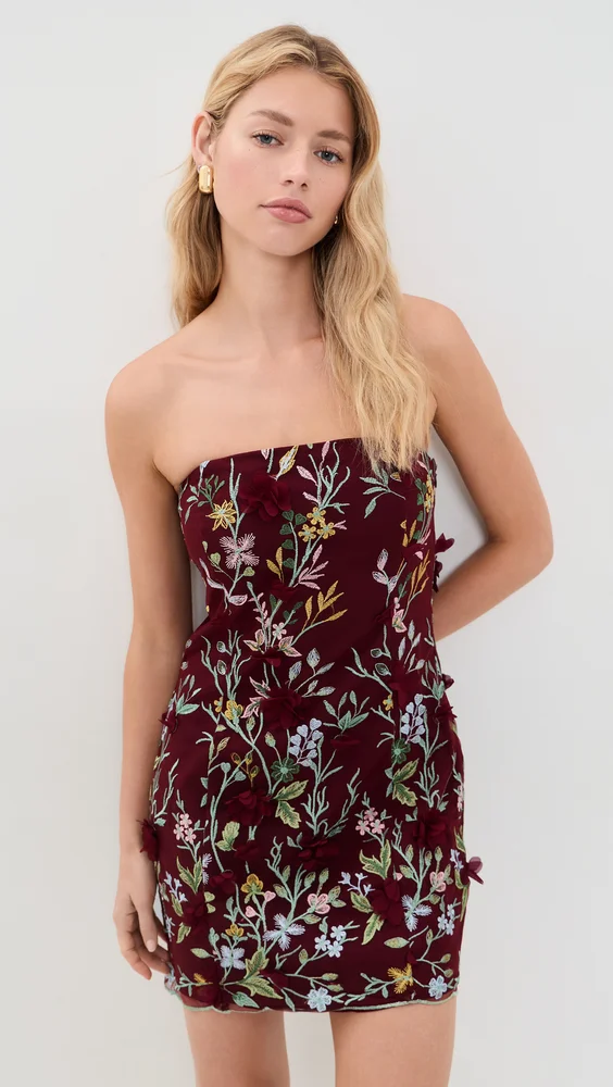 Strapless 3D Floral Embroidered Mini Dress