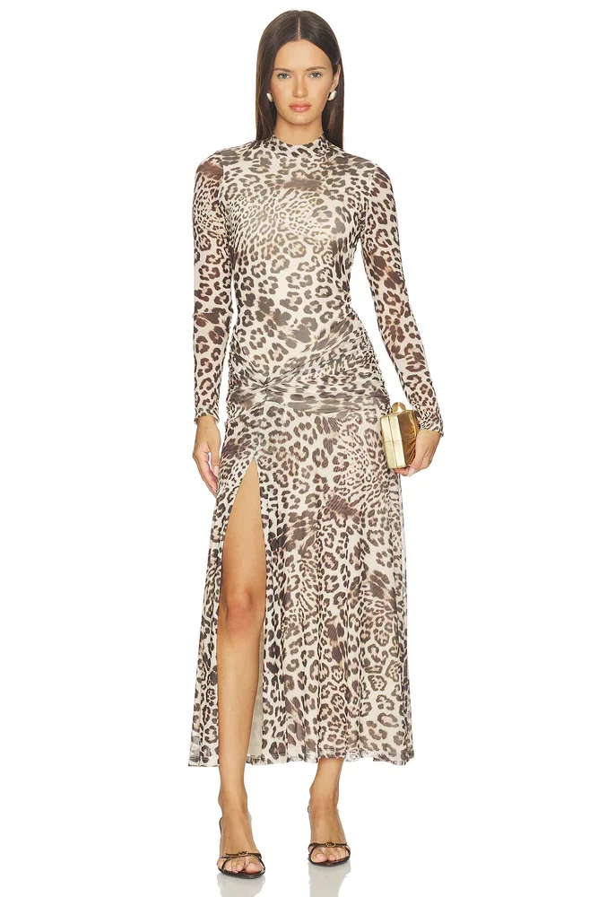 Lea Printed Mesh Dress