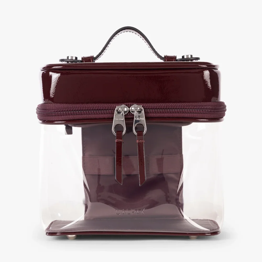 Clear Train Case with Top Compartment
