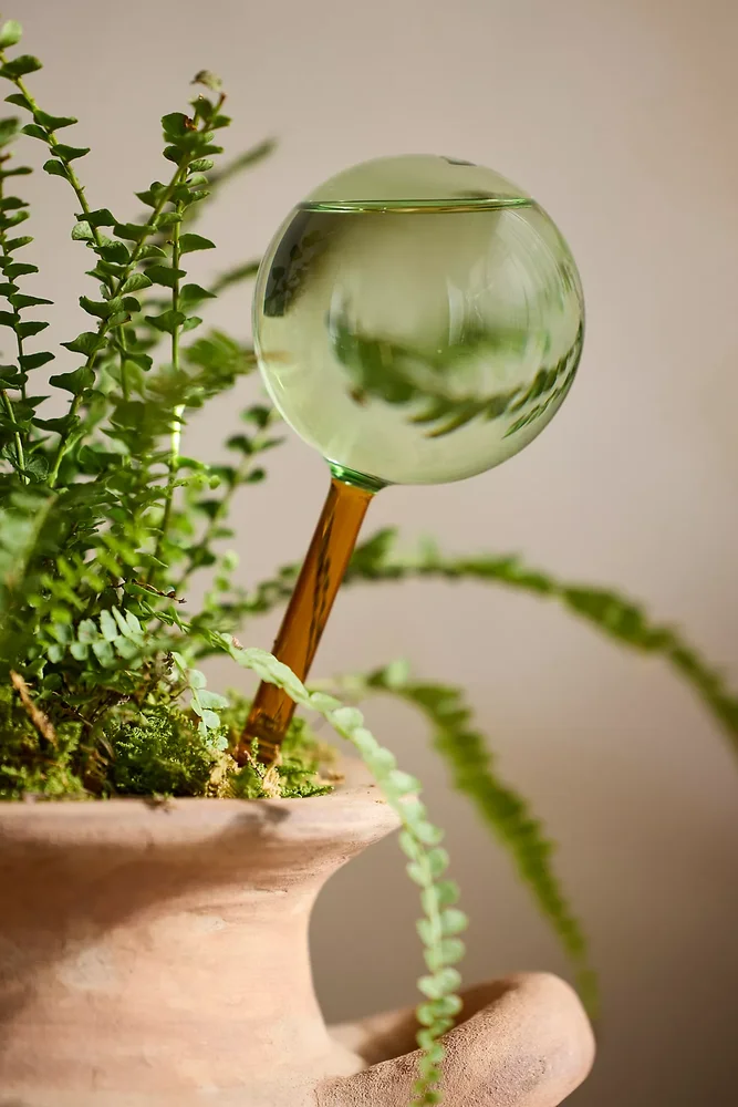 Glass Watering Globes, Set of 2