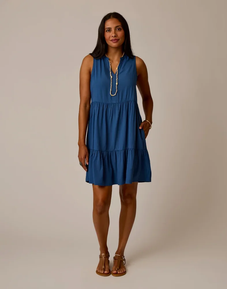 Nellie Dress: Vintage Blue