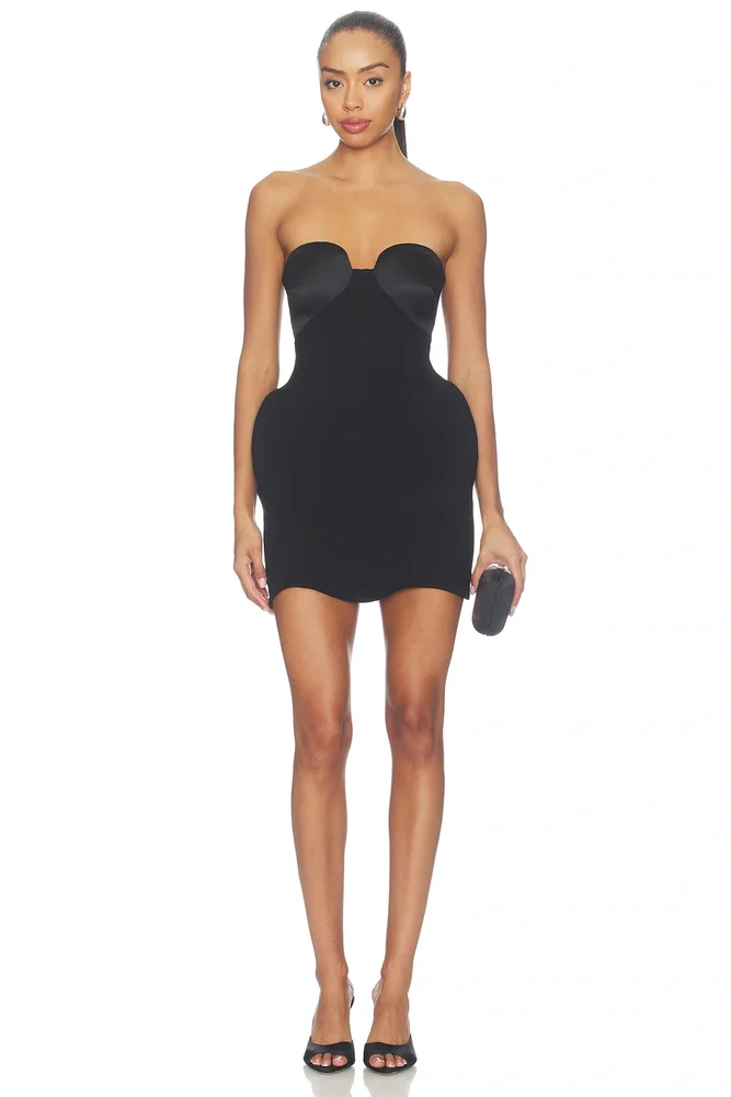 Calvin Dress