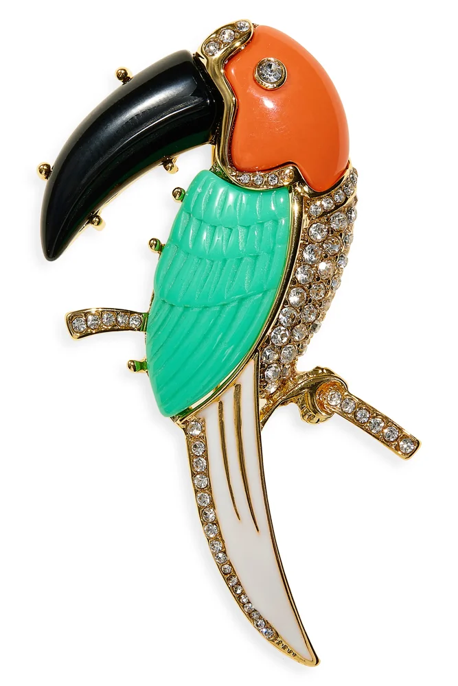 Toucan Pin