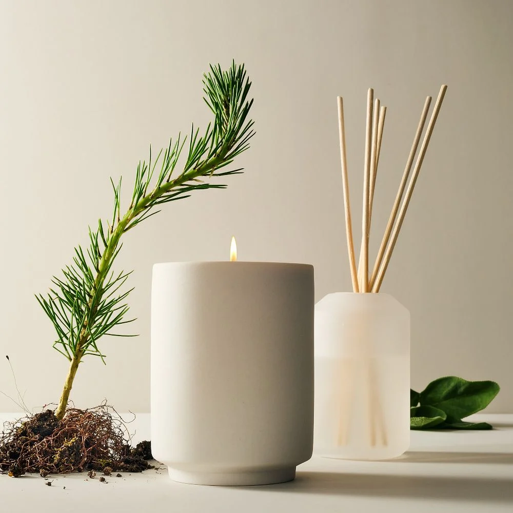Slopeside Pine Single Wick Boxed Candle