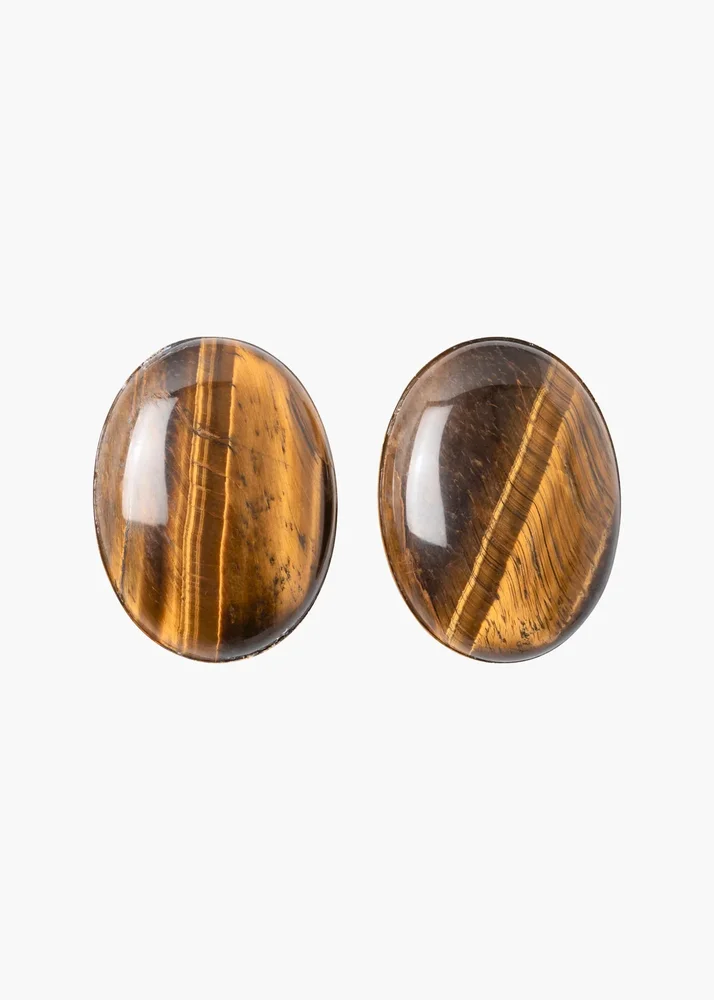 Audra Earrings in Tiger's Eye