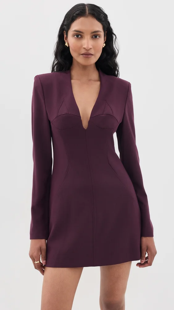 Kenna Micro Mini Dress
