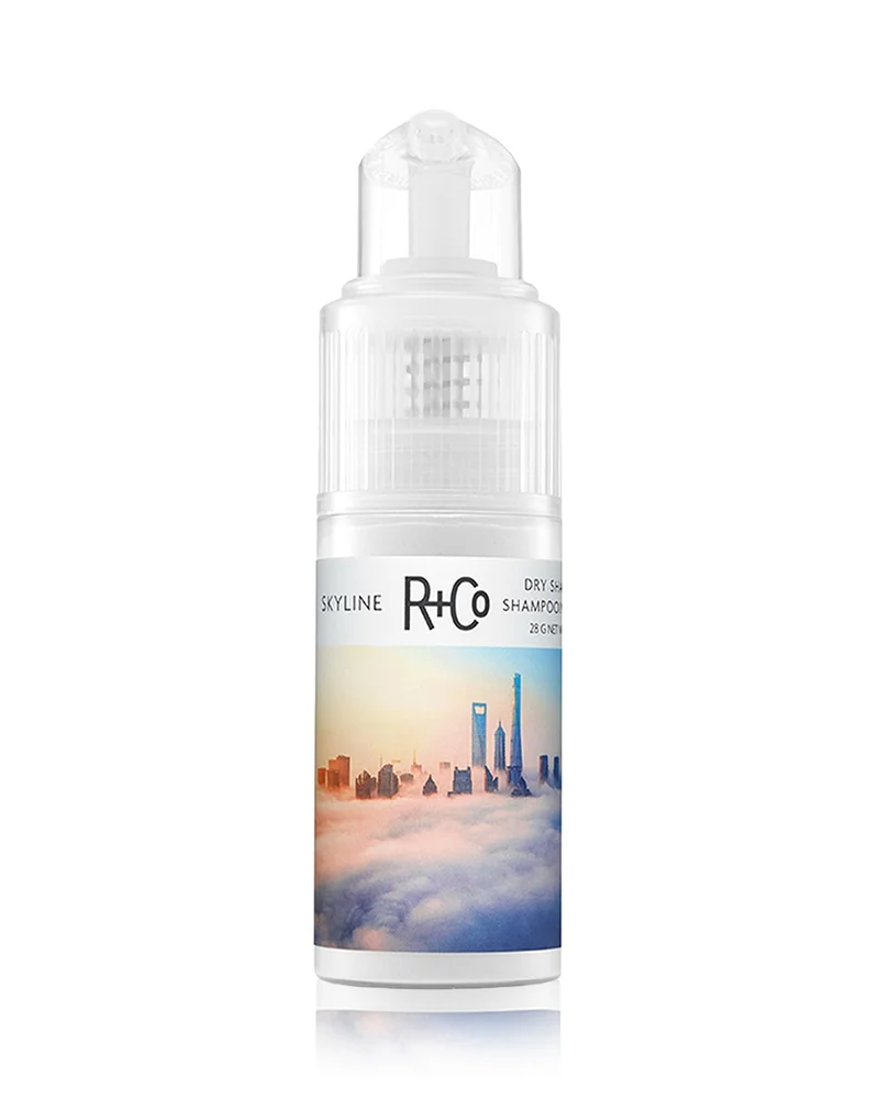 Skyline Dry Shampoo Powder 1 oz.