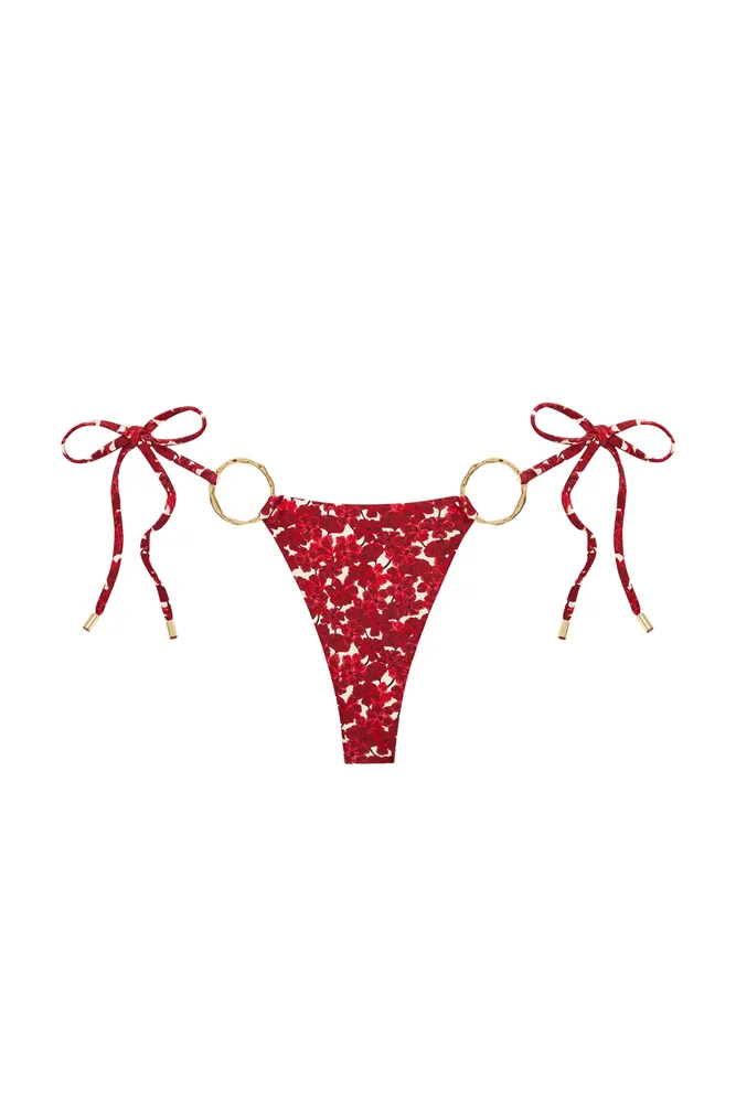 Cannes Bottom, Monte Solaro Floral
