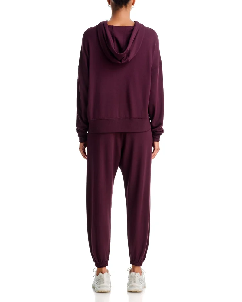 Joey Fleece Hoodie