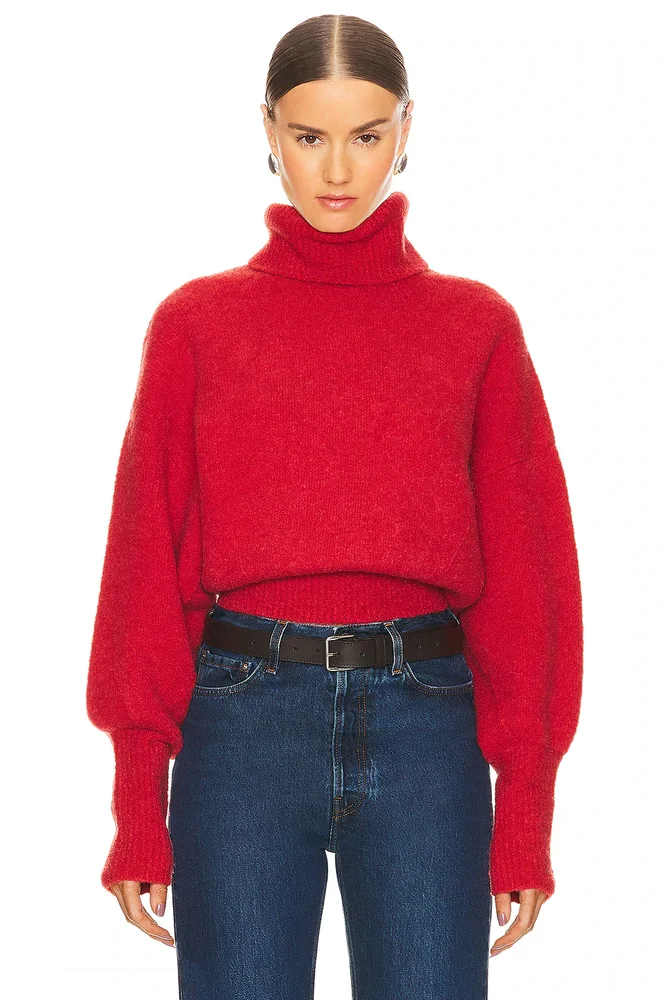 Elya Turtleneck Sweater