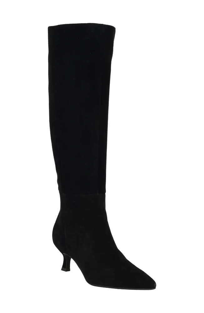 Akenzie Knee High Kitten Heel Suede Boot